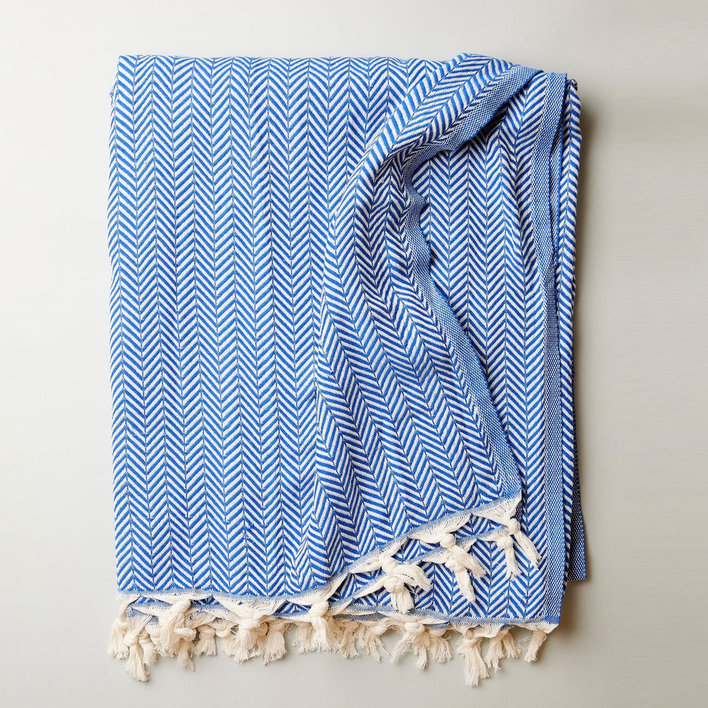 https://cdn.shopify.com/s/files/1/0887/9584/0810/files/blue.jpg?v=1760996917