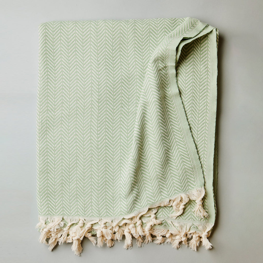 https://cdn.shopify.com/s/files/1/0887/9584/0810/files/green.jpg?v=1760996917